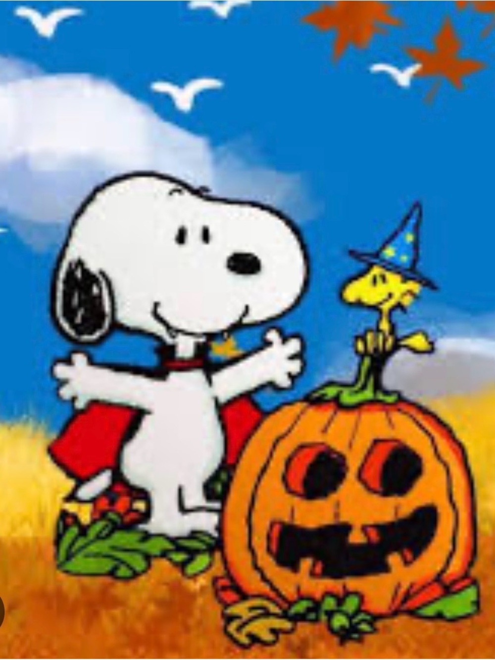 Halloween snoopy mystery box